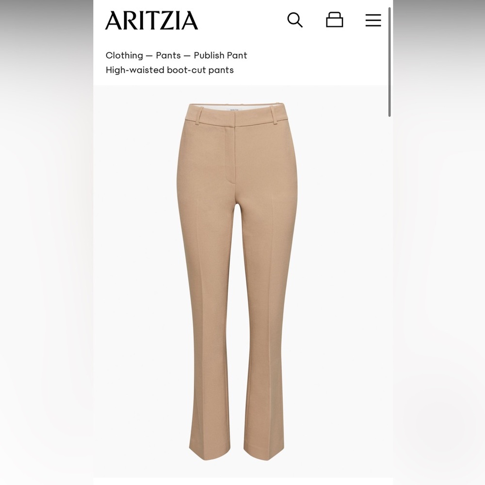 Aritzia Trousers